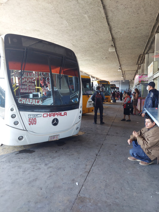 Introduction to Lake Chapala Public Transportation Course - Ongoing Dates